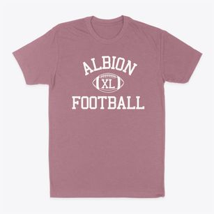 Albion Senior High School Classic Football Classic Dad T-Shirt