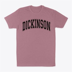 Dickinson Elementary School Varsity Arch Classic Dad T-Shirt