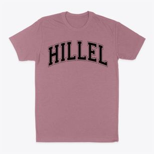 Hillel Academy Varsity Arch Classic Dad T-Shirt