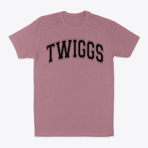 Twiggs Academy Varsity Arch Classic Dad T-Shirt