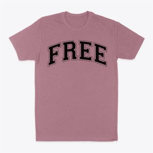 Free School Varsity Arch Classic Dad T-Shirt