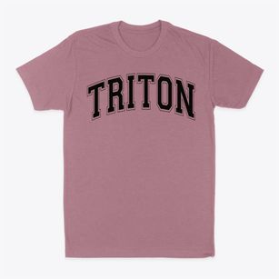 Triton High School Varsity Arch Classic Dad T-Shirt