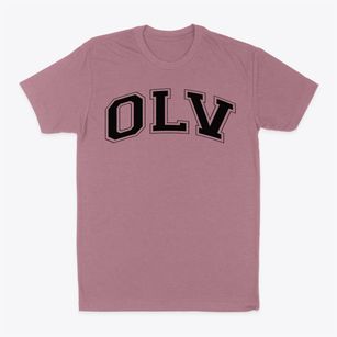 Our Lady Of Victory School Varsity Arch Classic Dad T-Shirt