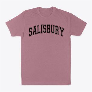 Salisbury Middle School Varsity Arch Classic Dad T-Shirt