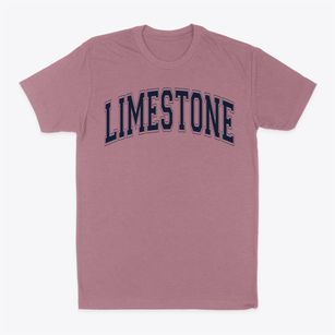 Limestone Elementary School Varsity Arch Classic Dad T-Shirt
