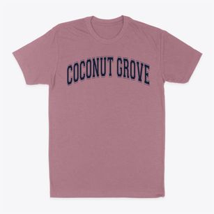 Coconut Grove Elementary School Varsity Arch Classic Dad T-Shirt