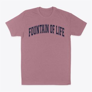 Fountain Of Life Lutheran School Varsity Arch Classic Dad T-Shirt