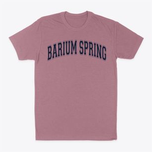 Barium Spring Preadolescent School Varsity Arch Classic Dad T-Shirt