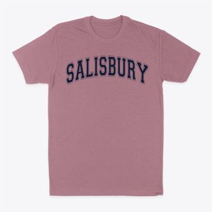 Salisbury Sda School Varsity Arch Classic Dad T-Shirt