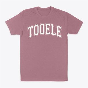 Tooele Junior High School Varsity Arch Classic Dad T-Shirt