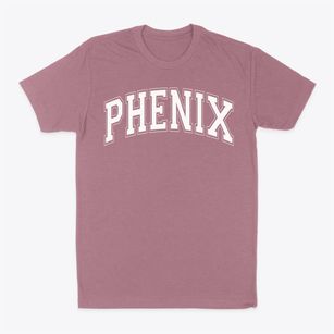 George P. Phenix School Varsity Arch Classic Dad T-Shirt