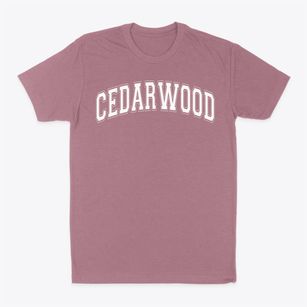 Cedarwood Christian Academy Varsity Arch Classic Dad T-Shirt
