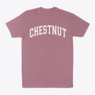 Chestnut Elementary Varsity Arch Classic Dad T-Shirt