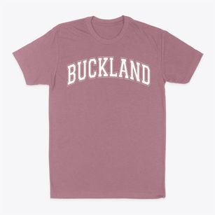 Buckland School Varsity Arch Classic Dad T-Shirt