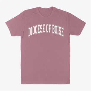 Roman Catholic Diocese Of Boise Varsity Arch Classic Dad T-Shirt