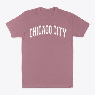 Chicago City Day School Varsity Arch Classic Dad T-Shirt