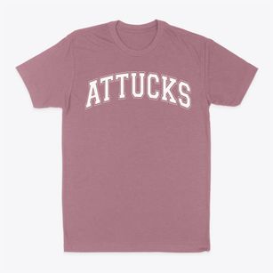 Attucks Elementary School Varsity Arch Classic Dad T-Shirt