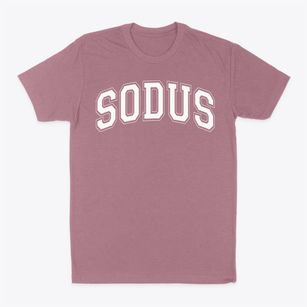 Sodus Middle School Varsity Arch Classic Dad T-Shirt
