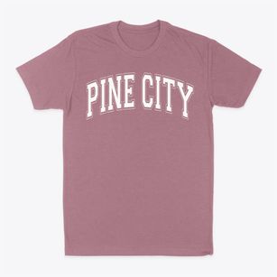 Pine City Elementary School Varsity Arch Classic Dad T-Shirt