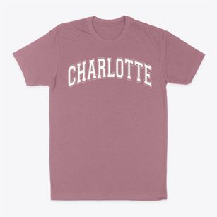 Charlotte Montessorri School #2 Varsity Arch Classic Dad T-Shirt