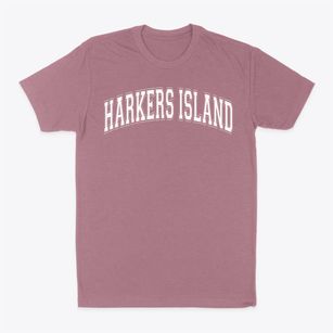 Harkers Island Elementary School Varsity Arch Classic Dad T-Shirt
