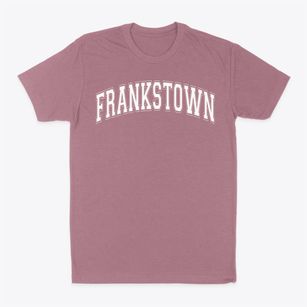 Frankstown Elementary School Varsity Arch Classic Dad T-Shirt