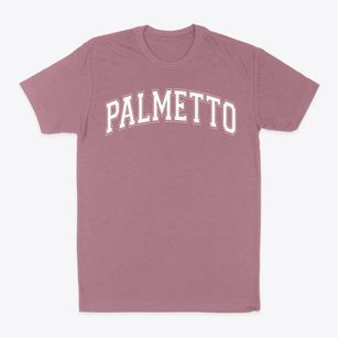 Palmetto Christian Academy Varsity Arch Classic Dad T-Shirt