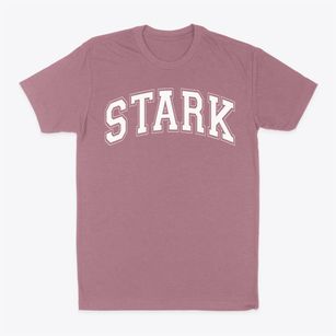 Stark High School Varsity Arch Classic Dad T-Shirt