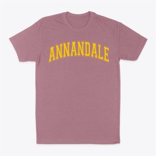 Annandale Elementary School Varsity Arch Classic Dad T-Shirt
