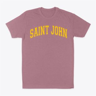 Saint John The Evangelist School Varsity Arch Classic Dad T-Shirt