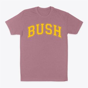 Bush Accelerated Elementary School Varsity Arch Classic Dad T-Shirt