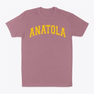 Anatola Elementary School Varsity Arch Classic Dad T-Shirt