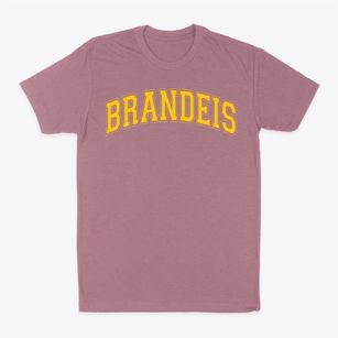 Louis D. Brandeis High School Varsity Arch Classic Dad T-Shirt