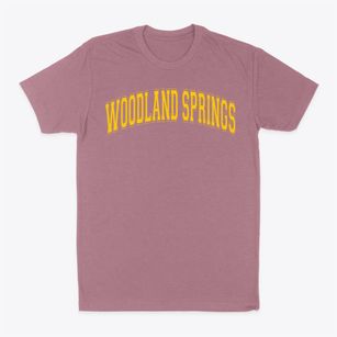 Woodland Springs Elementary School Varsity Arch Classic Dad T-Shirt