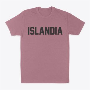 Islandia New York Classic Block Classic Dad T-Shirt