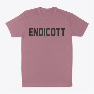 Endicott Washington Classic Block Classic Dad T-Shirt