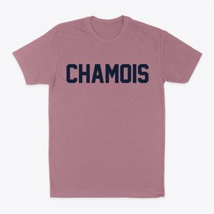 Chamois Missouri Classic Block Classic Dad T-Shirt