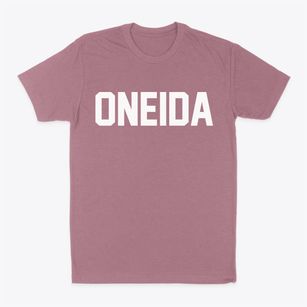 Oneida Illinois Classic Block Classic Dad T-Shirt