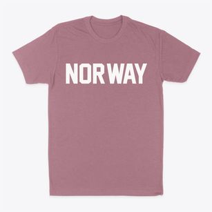 Norway Iowa Classic Block Classic Dad T-Shirt