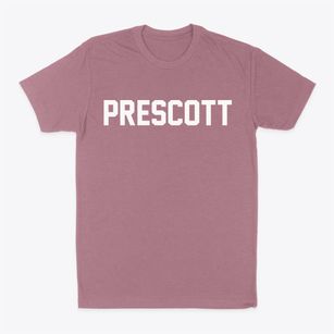 Prescott Michigan Classic Block Classic Dad T-Shirt