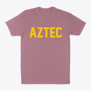 Aztec New Mexico Classic Block Classic Dad T-Shirt