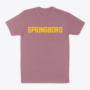 Springboro Pennsylvania Classic Block Classic Dad T-Shirt