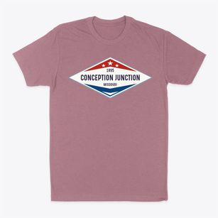 Conception Junction Missouri Diamond Star Classic Dad T-Shirt