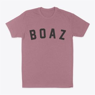 Boaz Wisconsin Classic Curve Classic Dad T-Shirt