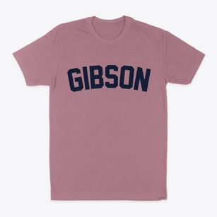 Gibson Arkansas Classic Curve Classic Dad T-Shirt