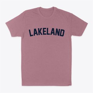 Lakeland New York Classic Curve Classic Dad T-Shirt