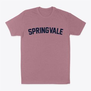 Springvale Wisconsin Classic Curve Classic Dad T-Shirt