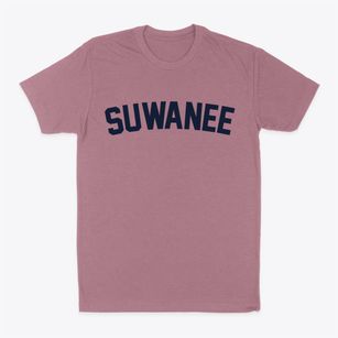 Suwanee Georgia Classic Curve Classic Dad T-Shirt