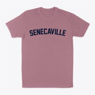 Senecaville Ohio Classic Curve Classic Dad T-Shirt
