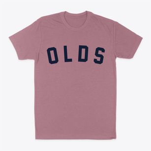 Olds Iowa Classic Curve Classic Dad T-Shirt
